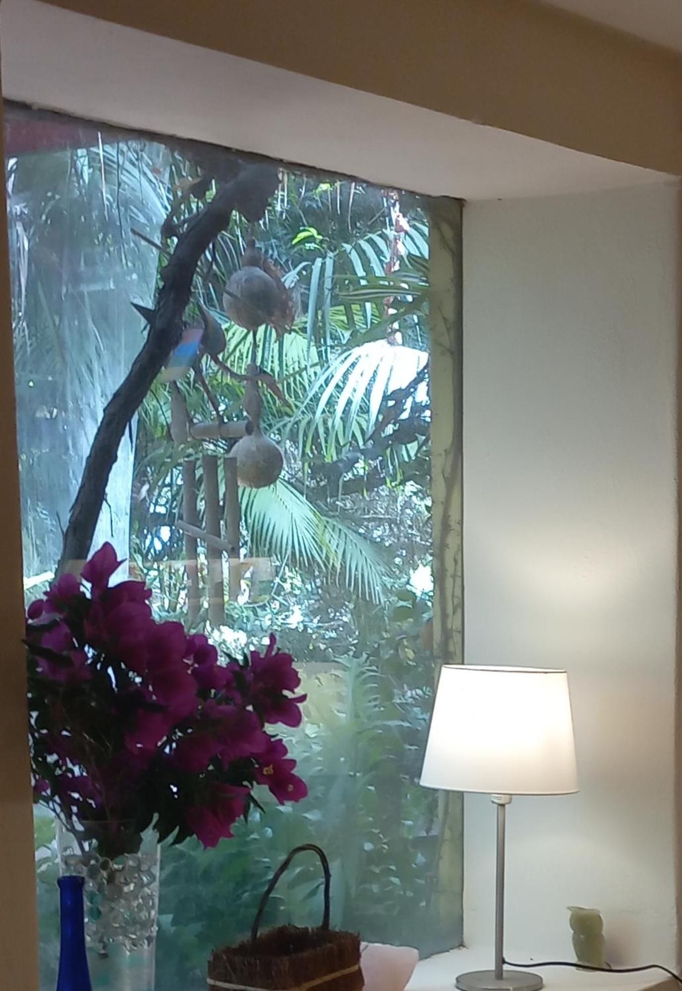 Vivelorural Casita Vintage, Santa Brigida Villa Ngoại thất bức ảnh